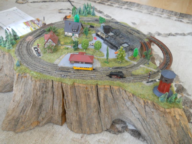 Wooden root track overview